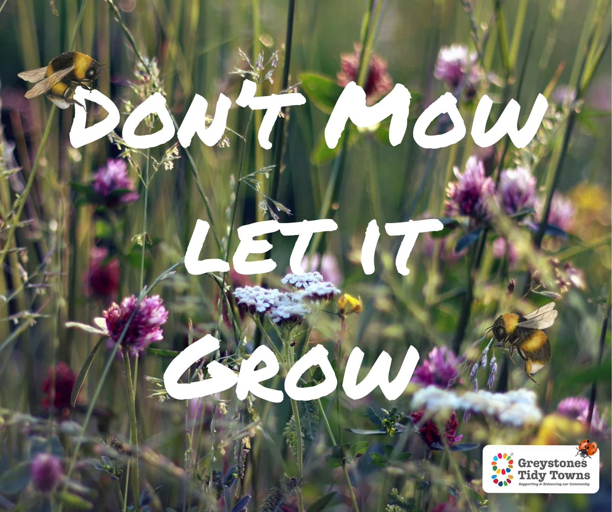 Thinking about a garden clean up this weekend? Find out why less work might be the best option 🐝 

All the details here: m.facebook.com/story.php?stor…

#GreystonesTidyTowns #YourTidyTown #NoMow #LetItGrow #GardeningForBiodiversity #AllIrelandPollinatorPlan #SDG15 #LifeOnLand