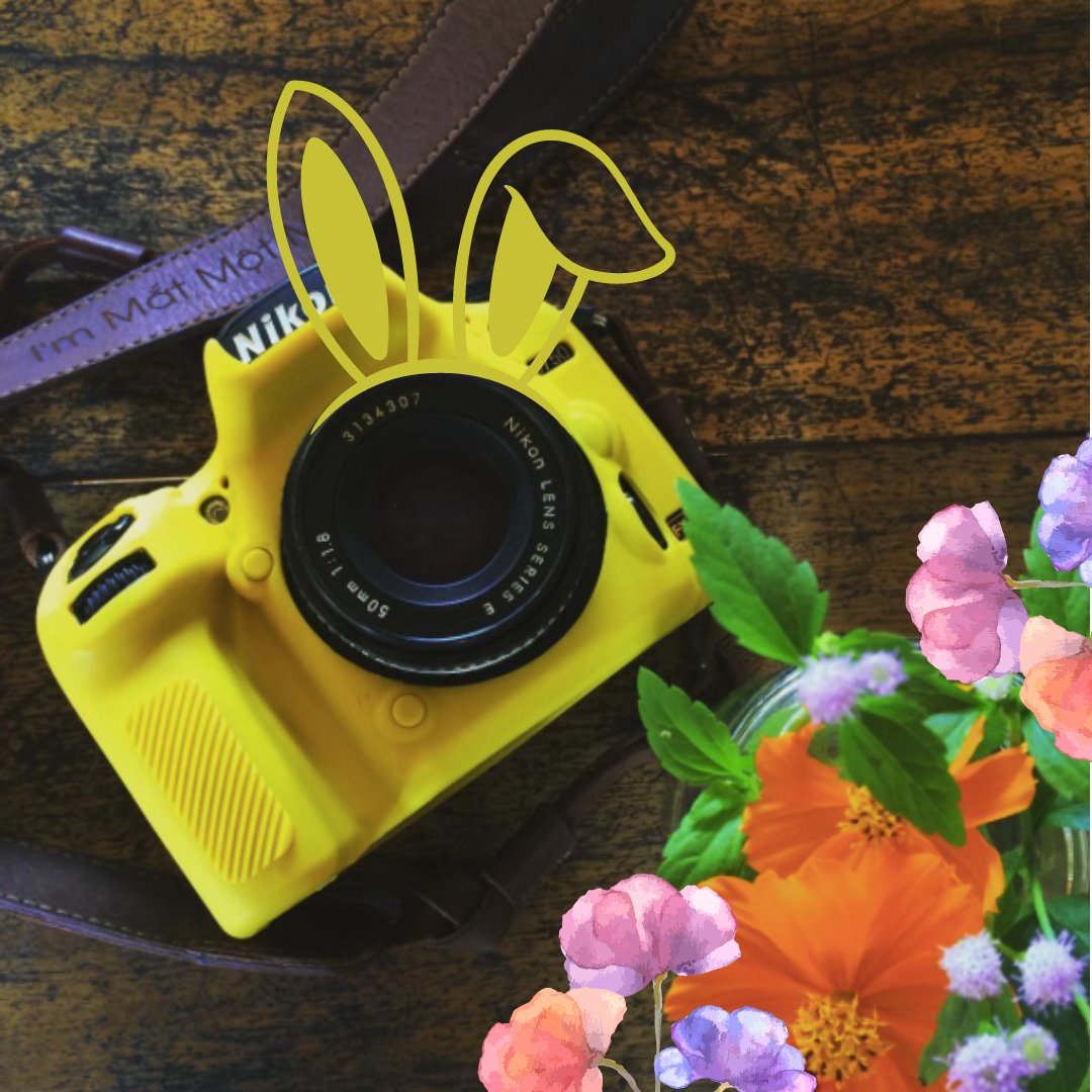 easyCover's tweet image. easyCover wishes you a Happy Easter! 🐰🪺

easycover.eu/content/where-…

Follow us to see our easyCovers in action!
instagram.com/easycover_phot…
facebook.com/easyCover/

#easycover #camera #photography #Nikon #Canon #sony #Easter