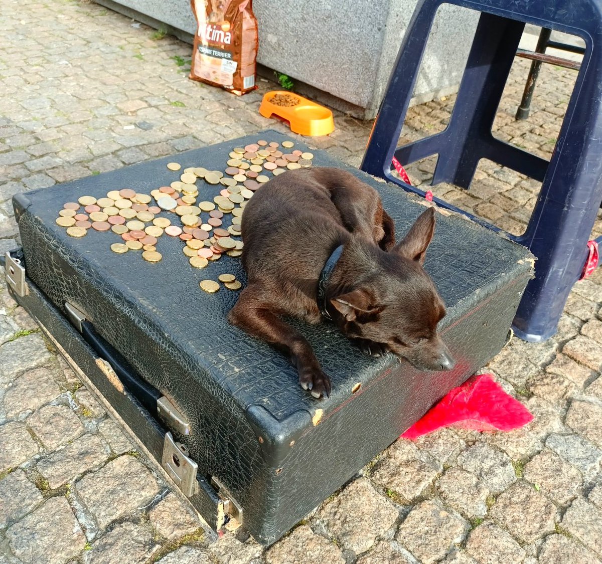 manjiriprabhu's tweet photo. This pic, clicked on one of my travels, gives me hope.
No matter where you are in the world, a  dog still has the power to bring out the humaneness in people &amp; evoke  an emotion of caring &amp; giving...
#doglove #humanity #dogsandhumans #dogsoftwitter #travetales #DOGtrineofPeace https://t.co/kqoonVEsSV