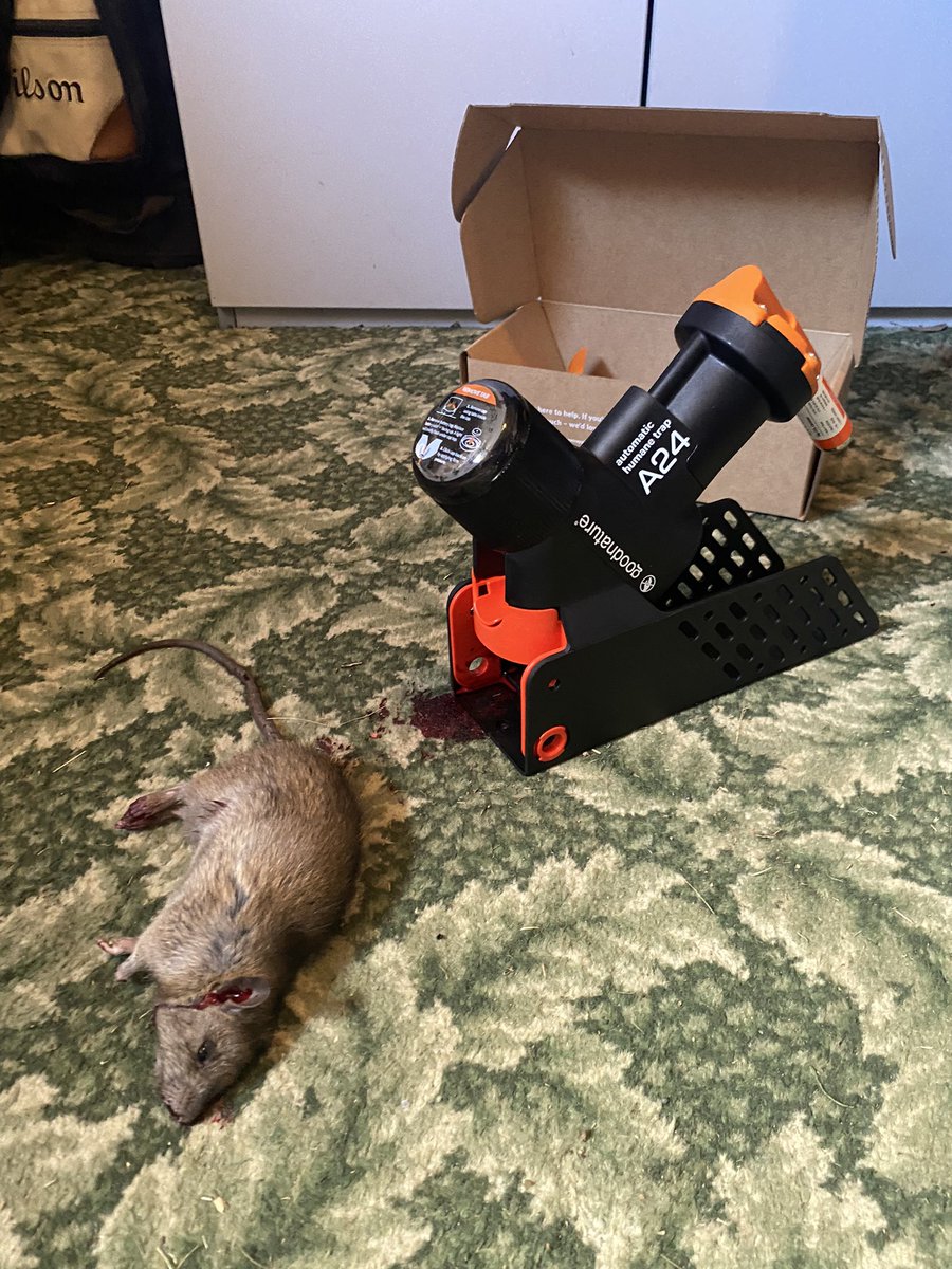 CullysFarms's tweet photo. @consettfarming @MartinMurray_Ag 4 rats and a mouse so far and no smell! https://t.co/Ft5qoJGmn4