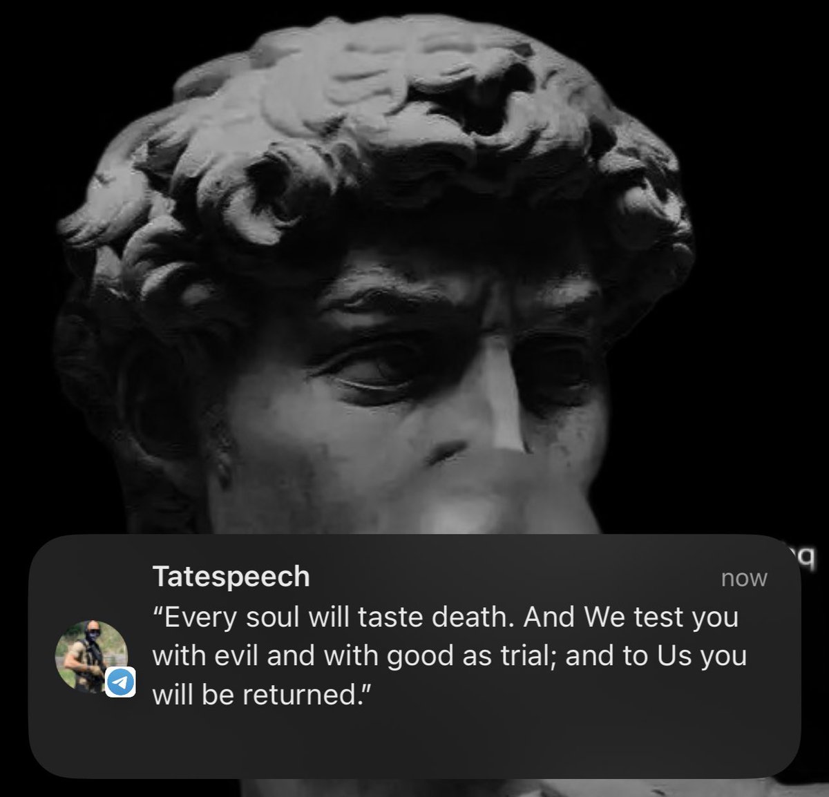 therealsal tweet media