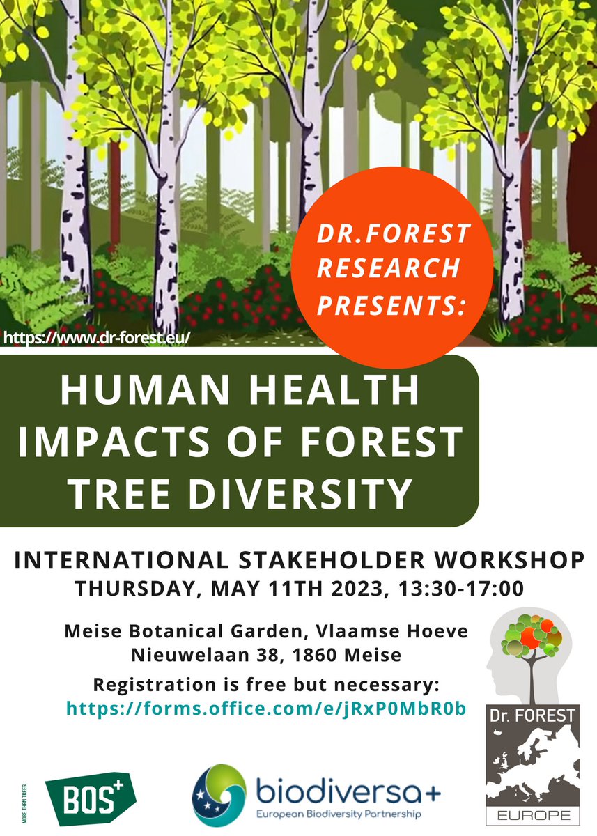 If you did not receive an invite, but would benefit from attending, please register for our May workshop in Meise: forms.office.com/e/jRxP0MbR0b Places are limited! #health #wellbeing #healthrisk #riskmitigation #ecosystemservices #conservation #forest #forestry #treediversity