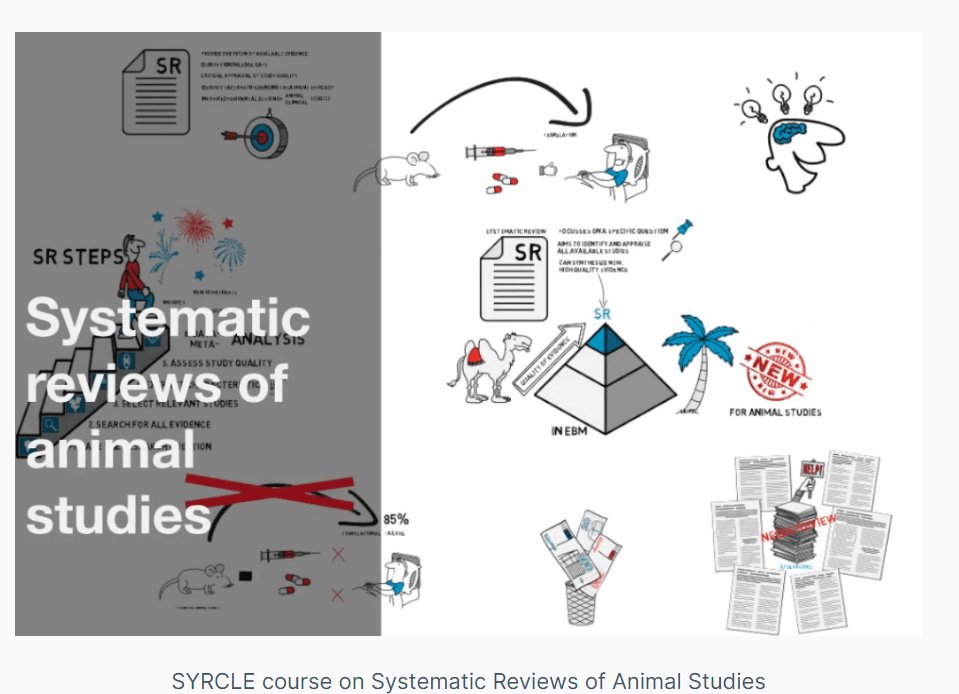 etplas's tweet photo. Now available on our website the *free* @SYRCLE_UMCN course 'Systematic Reviews of Animal Studies'. A great resource for those interested in synthesis of evidence from preclinical studies, quality of #animalresearch, evidence-based medicine, and the #3Rs.
https://t.co/xcEGka6iuA https://t.co/8e254m6NZr