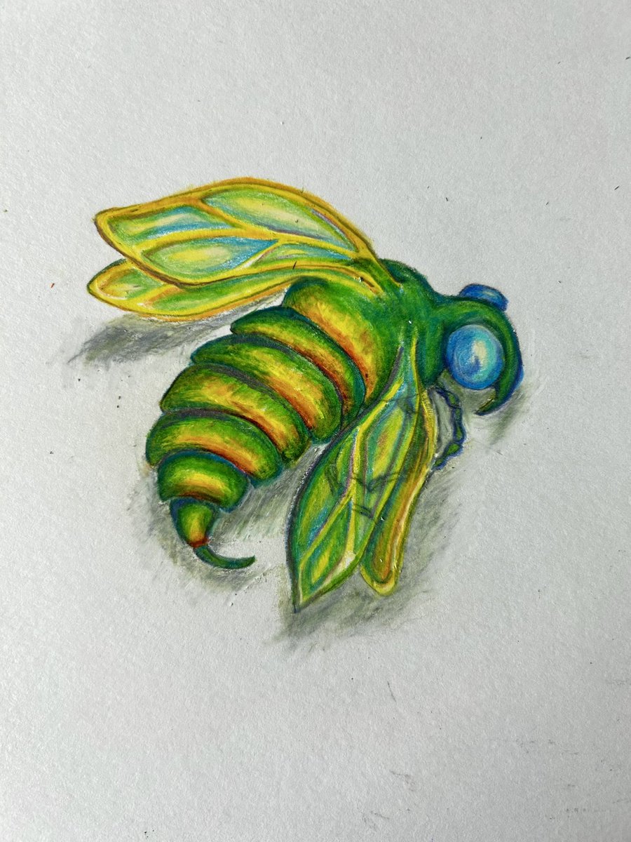 My_Pink_Planet's tweet photo. Little green bee. I’m not loving the shadow, but it’s really more of a color study anyway.
#mypinkplanet #risdmade #prismacolor #bumblebee https://t.co/HsQcIeHT4F