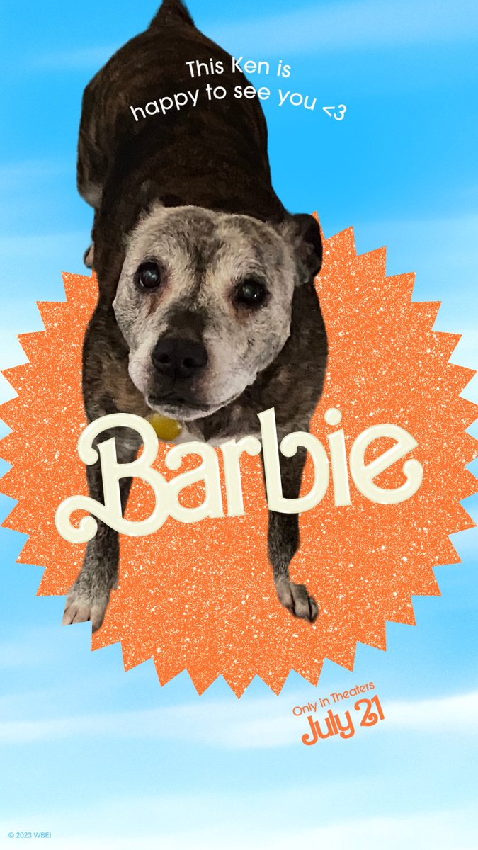 PorthosStaffy's tweet photo. Always 🐾 💕 https://t.co/B85fRgxavH
