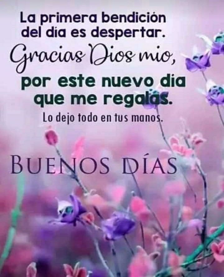 🌌La Primera Bendición del Día es Despertar... Gracias Dios🌌
#EnDefensaDelEsequibo
@NicolasMaduro @Alvarex2808 @MkPatriota @militzahergar @Rextwit12 @LouRex28 @MariaGu82631195 @EmyMay75070510 @gipsybell23 @vikkys77 @CalderaAsbal @jetxy28 @nanunsc2 @loreto_vicky @IZYSD5 @lrrc2020