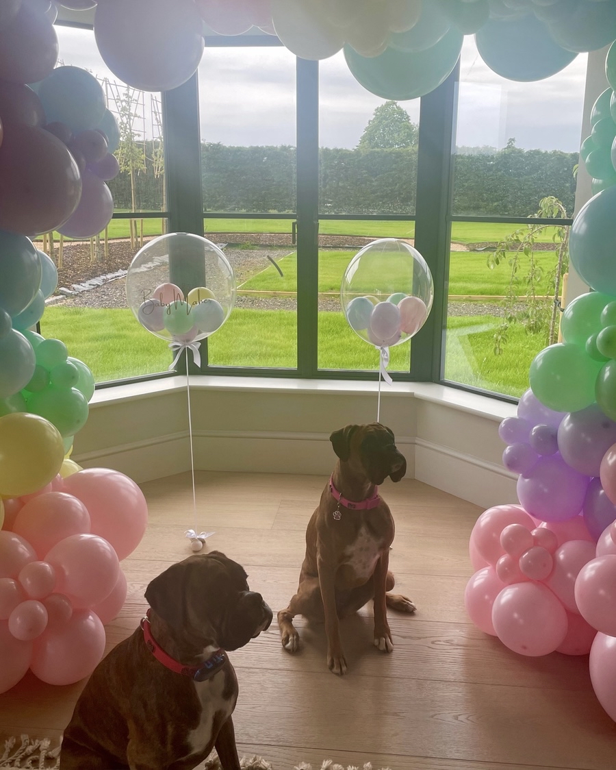 Bouncing into the Easter weekend through our full pastel balloon arch with matching bubbles. (The canine residents approved too!)

#easter #easter2023 #easterbunny #eastercolours #pastels #balloonarch #balloonsdecor #balloondecor #biodegradablelatex #luxurygifts #birthdaycelebrat