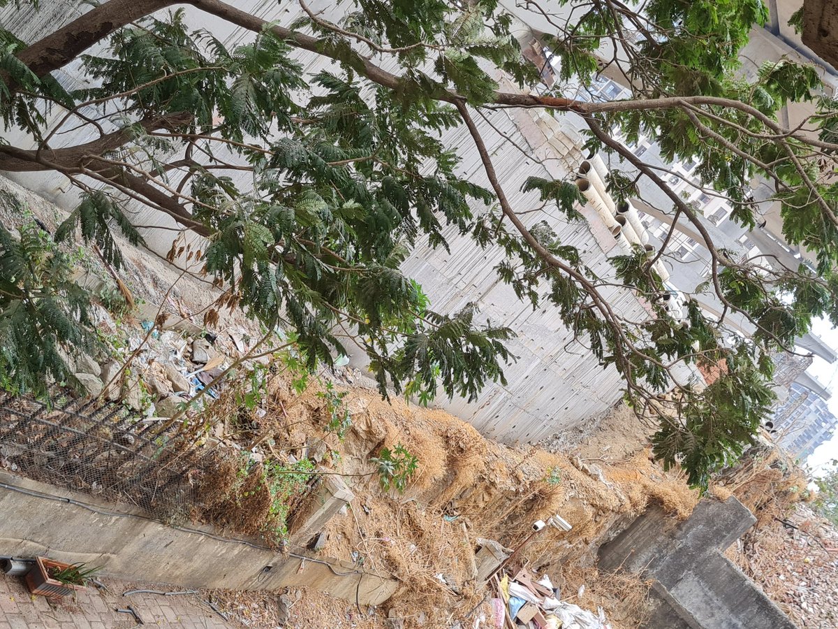 Request concerned authorities to pls help Evershine Embassy back gate &amp; boundary of new road/metro line cleared of debris. It's currently blocking access to fire brigade &amp; tankers and will cause flooding within the complex once rains start!
<a href="/MMRDAOfficial/">MMRDA</a> <a href="/LavekarBharati/">Dr. Bharati Lavekar</a> <a href="/mybmc/">माझी Mumbai, आपली BMC</a>
