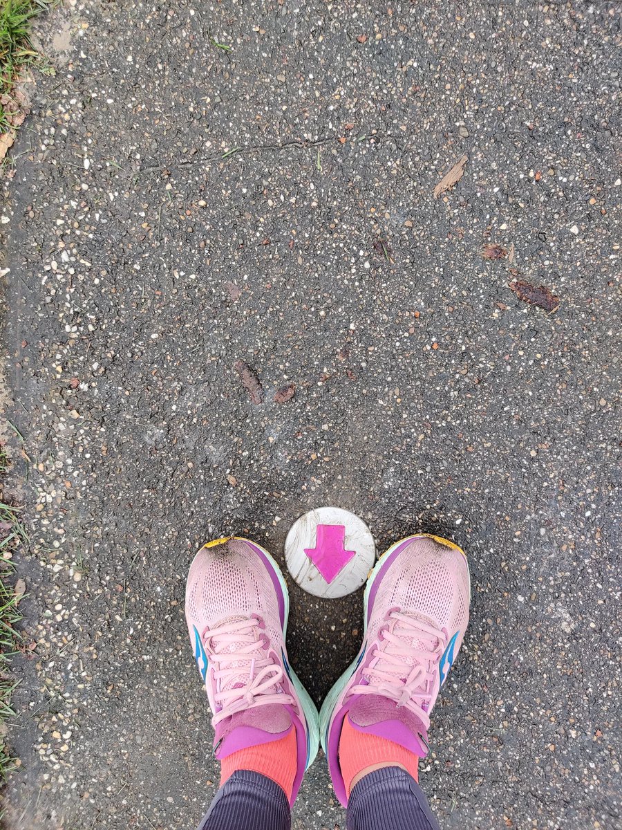 De kleur matcht met m'n schoenen.. maar ik liep wel de tegengestelde richting.. maar kan ik meer vinden over deze nieuwe pijlen in #sonsbeekpark? <a href="/gemeentearnhem/">Gemeente Arnhem</a> ?