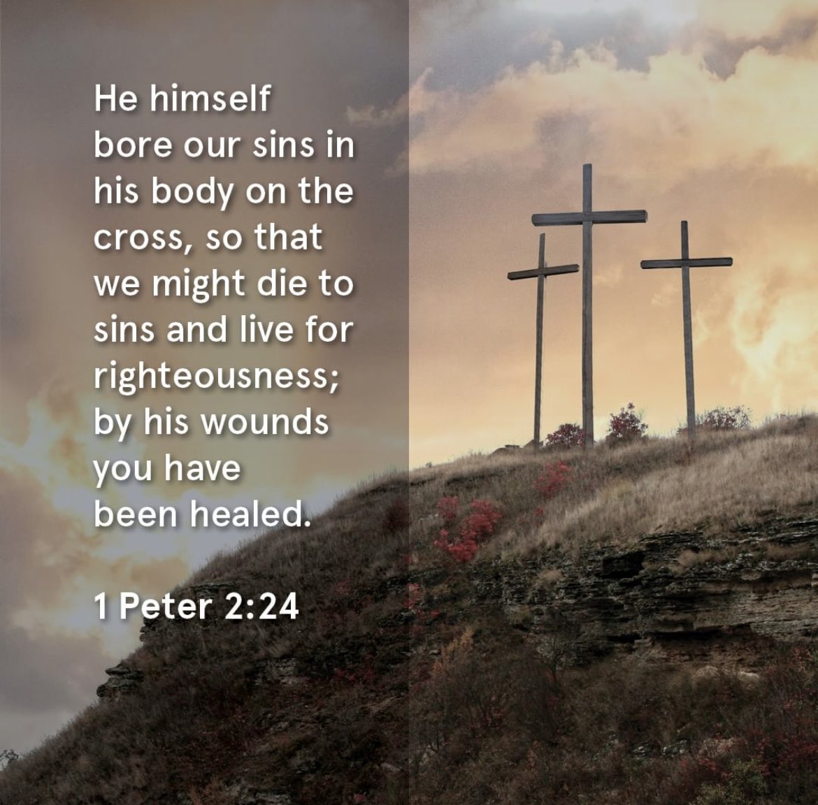 PatrickKKent's tweet photo. Happy Good Friday Church Family &amp; Friend’s!

The Bible says. “and He Himself bore our sins in His body on the cross, so that we might die to sin and live to righteousness; for by His wounds you were healed.” 1 Peter 2:24  Thank you Jesus for going to the cross for our sins…🙌 https://t.co/vxDkiVynME