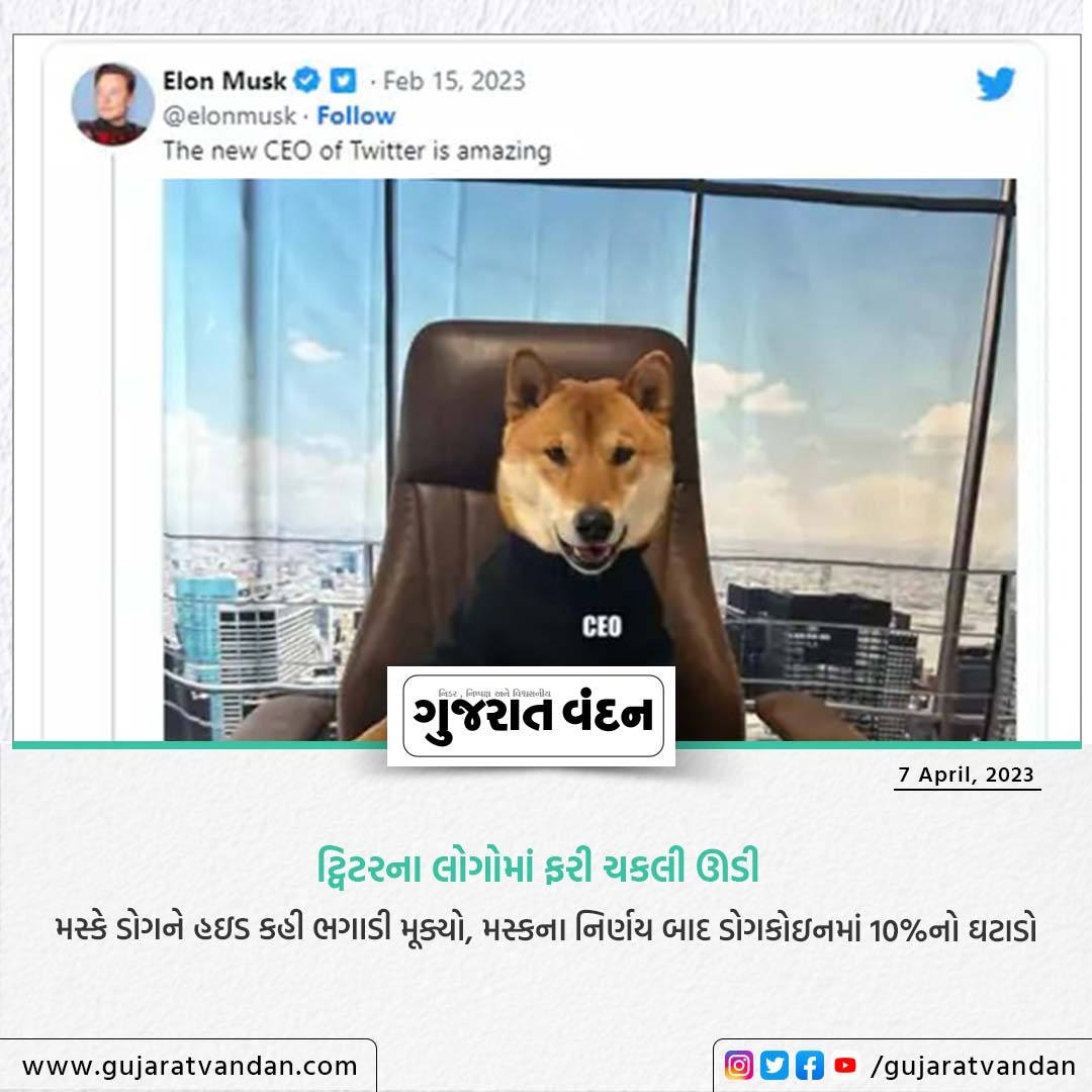 GujaratVandan's tweet photo. ટ્વિટરના લોગોમાં ફરી ચકલી ઊડી
.
મસ્કે ડોગને હઇડ કહી ભગાડી મૂક્યો, મસ્કના નિર્ણય બાદ ડોગકોઇનમાં 10%નો ઘટાડો
@gujarat_vandan
#gujaratvandan #gujaratvandannews #twitterlogo #twitterlogochanged #twitterlogochange #alonmusk #alonmusktwitter #twitter #twitternews #news #gujaratinews https://t.co/xAokmYd4UI