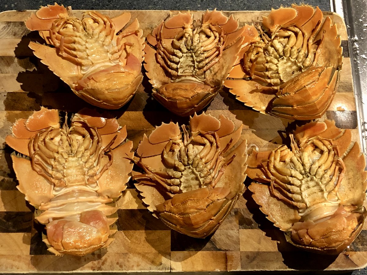 Prof. Hrvoje Tkalčić tweet media