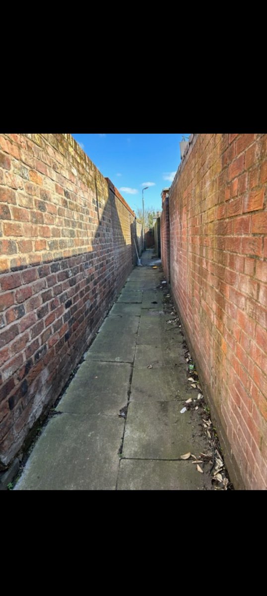 Alley Angels tweet media