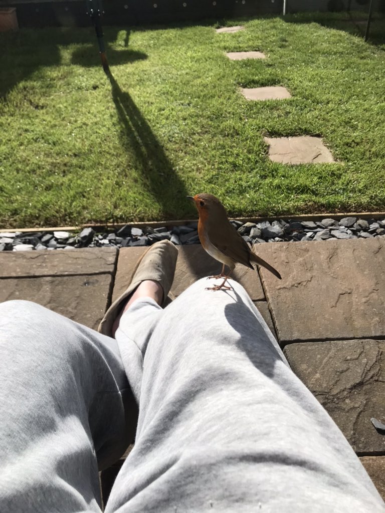 The sun is out and my little mate is back!!