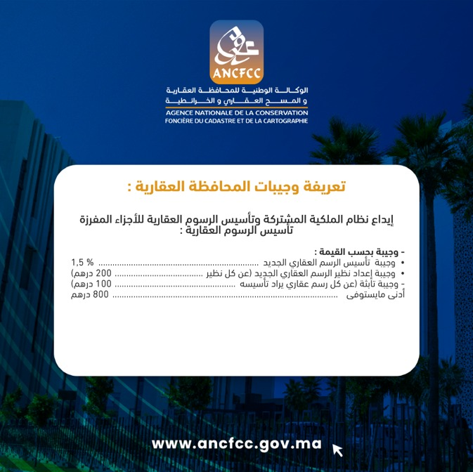 ANCFCC2's tweet photo. https://t.co/rVP9Ywo5en