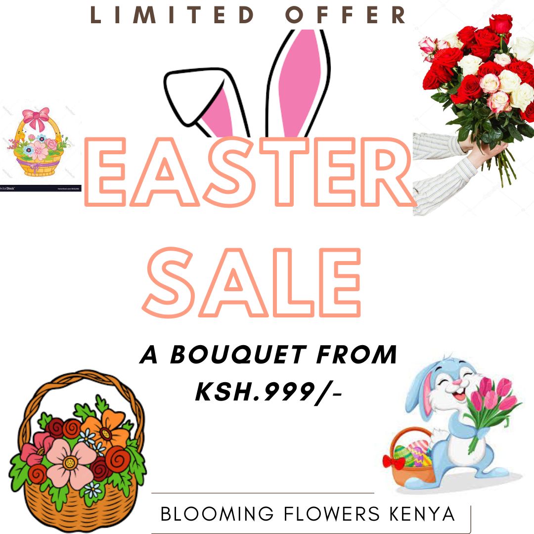 BflowersKE's tweet photo. Enjoy EASTER holiday with beautiful fresh flowers 💐🥳🌸make your orders now from KSH 999 hurry up!
Make your orders:
☎️0113669203
☎️0787991550
Visit our website:
https://t.co/t1UFOFVVIc
#easterflower
#flowersofeaster #Easter https://t.co/xSe526gUmN