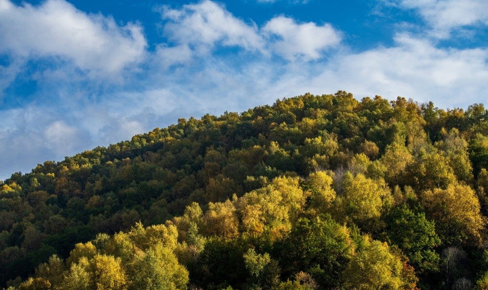 GlobalEchoes829's tweet photo. Colorful leaves are painting a stunning picture in Zhuanglang in Pingliang.
#travel #nature #gansu #pingliang #nature #scenery https://t.co/zP0GN7RHE6