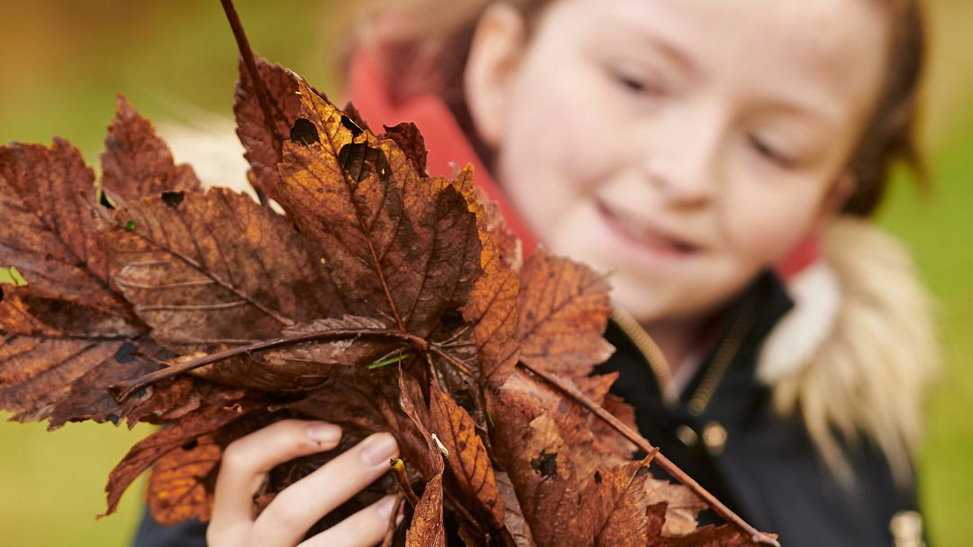 Want to discover how to use the outdoors to engage pupils in reading, writing, and speaking? Book our Literacy Outdoors training courses for early years and primary now 👇

Early years ➡️ ltl.org.uk/projects/early…
Primary ➡️ ltl.org.uk/projects/prima…