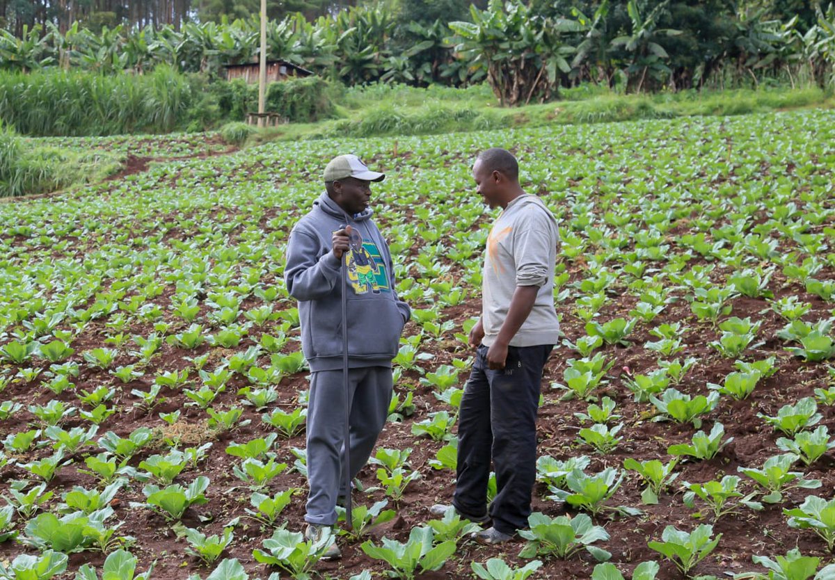 On the way, I came across my villagemates whom we grew up with. 

We exchanged greetings and shared lots of  laughter. Our people remain hard-working, aggressive, and focused. My Auntie prayed for me, blessed me, and treated me to a heavy breakfast of boiled maize and porridge.