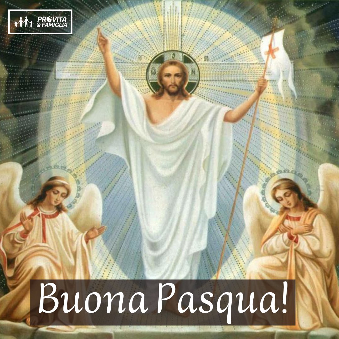 Pro Vita & Famiglia tweet media