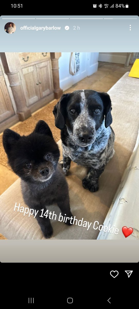 😀😀Aww <a href="/GaryBarlow/">Gary Barlow</a> so happy to share my birthday with the gorgeous Cookie! I'd love it if you could make my golden birthday extra special with a DM 🙏🫶🙏🫶🙏🫶 #birthdaytwins #sarahturns50 #goldenbirthday