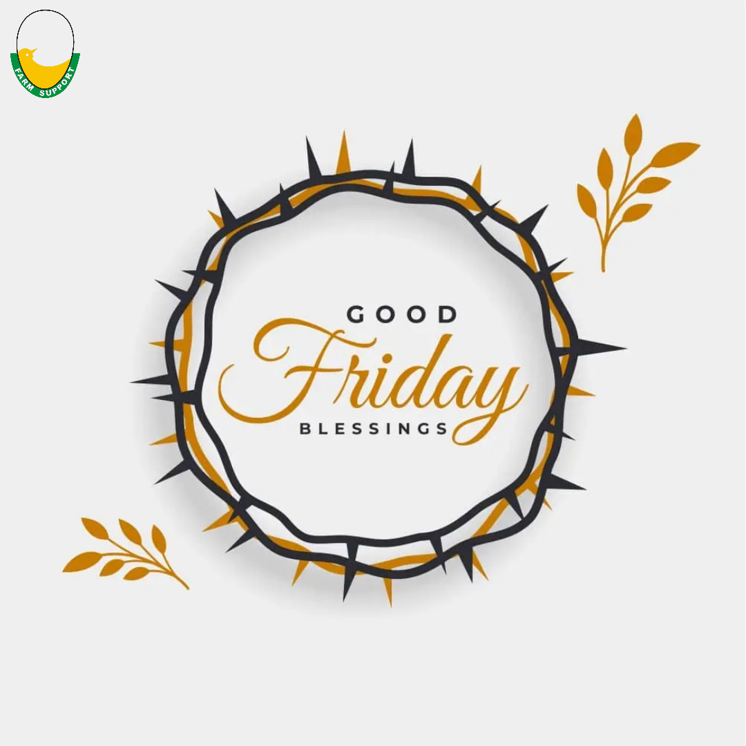 Happy Good Friday! May this beautiful day bring abundant joy and positivity to our lives.

#goodfriday #goodfridays #goodfriday2023 #eastercelebration #eastermood #poultryofinstagram #farmersinnigeria #agritech #ecommerce #farmsupport