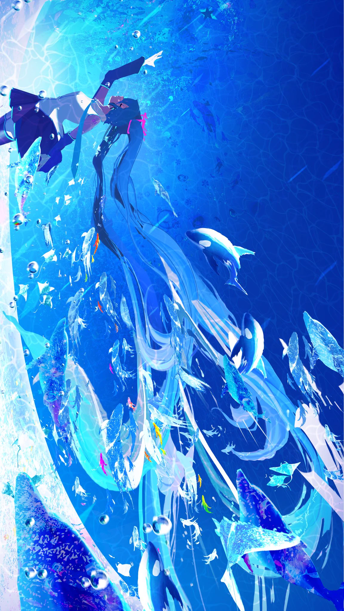 まころん♪ まころん🐳 個展-星降る夜のアクアリウム9.19-9.28 on X: 