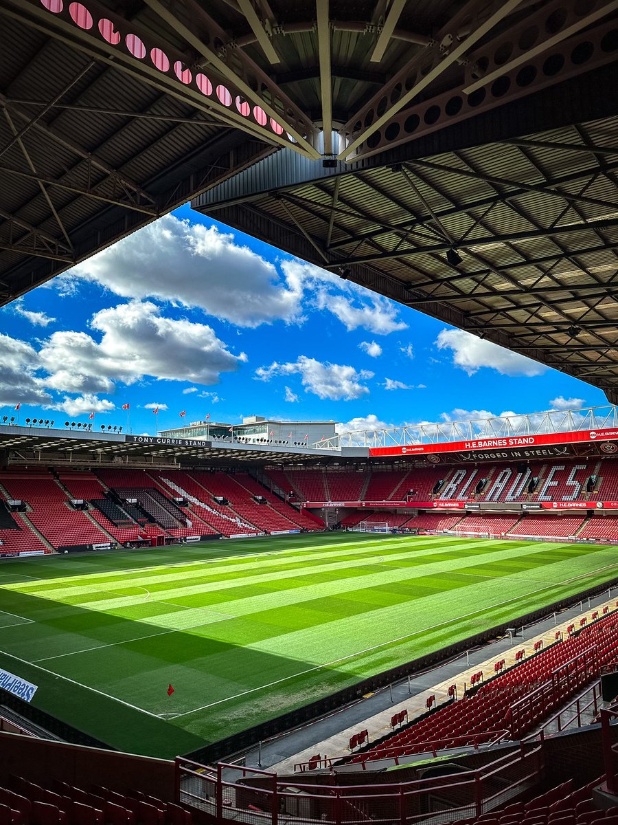 Beautiful. 🤌☀️