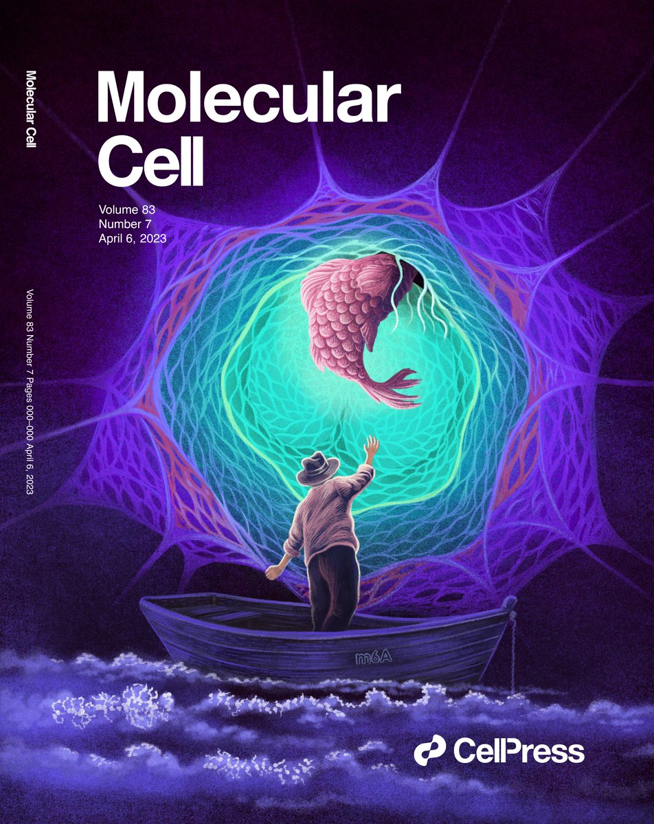 Our story on epitranscriptomic regulation of splicing in leukemia is featured on <a href="/MolecularCell/">Molecular Cell</a> cover. What does it show? A 🧵

You can read the article here:
cell.com/molecular-cell…