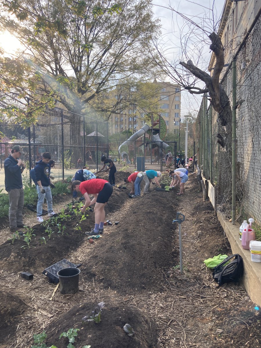 MillerANC1A05's tweet photo. We're back to work at #PowellCommunalFarm! A great turnout to kick off our spring planting (kale, kale, and more kale...who knew there were so many different kinds).
Big thank you to @CHECDC students & teachers, Angenette Planter and Bridget Bruggeman for joining! @DCDPR https://t.co/J5XfrSdjjh