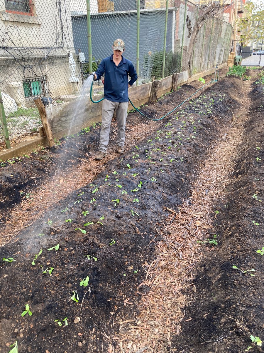 MillerANC1A05's tweet photo. We're back to work at #PowellCommunalFarm! A great turnout to kick off our spring planting (kale, kale, and more kale...who knew there were so many different kinds).
Big thank you to @CHECDC students & teachers, Angenette Planter and Bridget Bruggeman for joining! @DCDPR https://t.co/J5XfrSdjjh