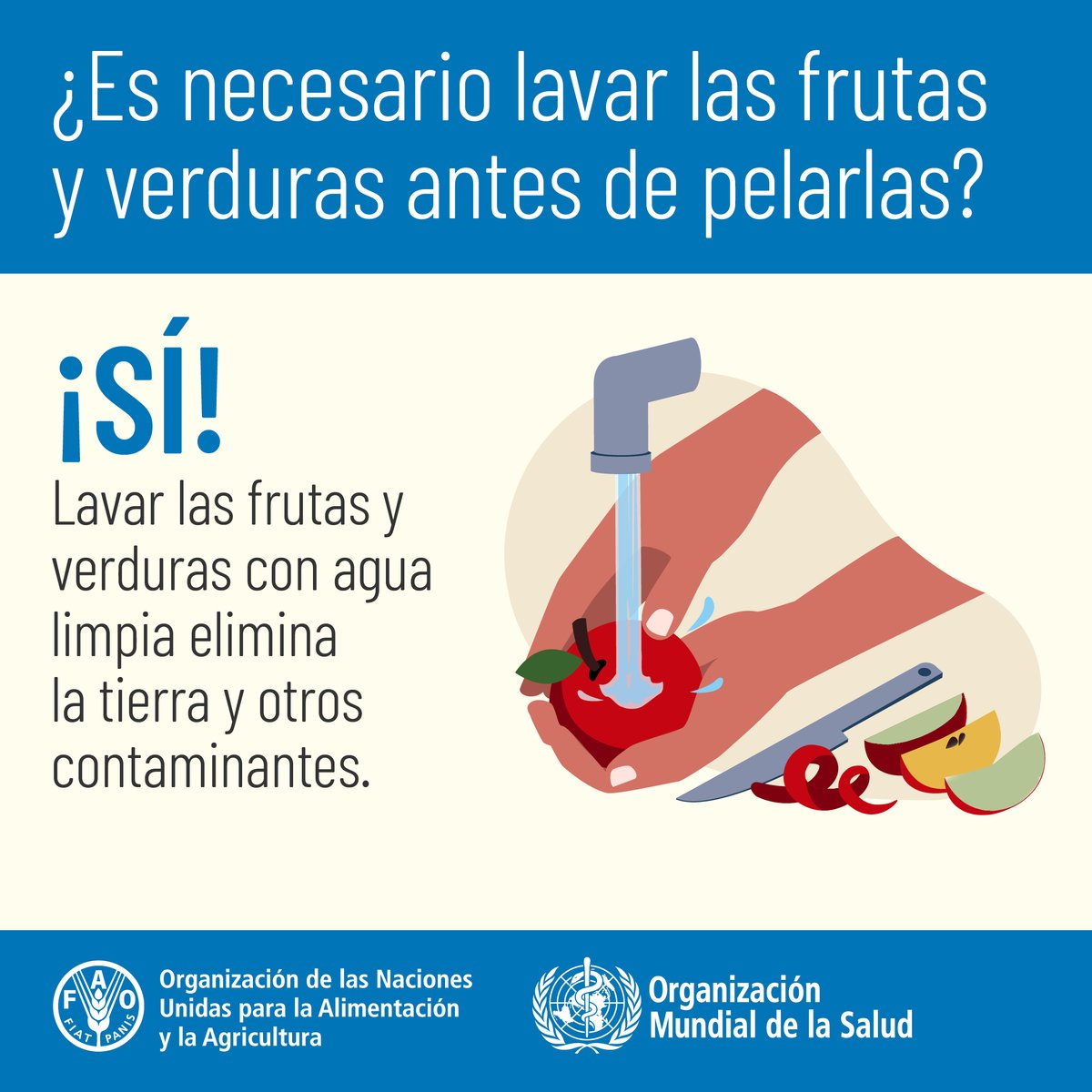 FAOenEspanol's tweet photo. Bacterias, virus, parásitos o sustancias químicas que entran en el organismo a través de agua o alimentos contaminados pueden causar enfermedades.

Manipular los alimentos adecuadamente es esencial para garantizar la #InocuidadAlimentaria y #SaludParatodos.

#DíaMundialDeLaSalud https://t.co/77DQoK3yhe