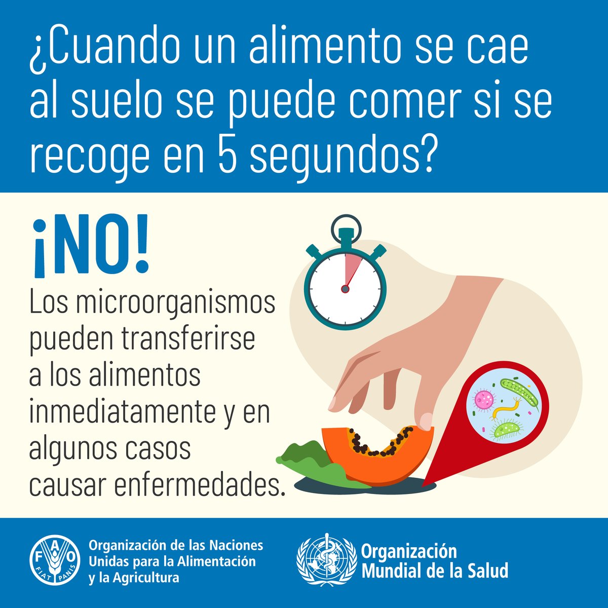 FAOenEspanol's tweet photo. Bacterias, virus, parásitos o sustancias químicas que entran en el organismo a través de agua o alimentos contaminados pueden causar enfermedades.

Manipular los alimentos adecuadamente es esencial para garantizar la #InocuidadAlimentaria y #SaludParatodos.

#DíaMundialDeLaSalud https://t.co/77DQoK3yhe