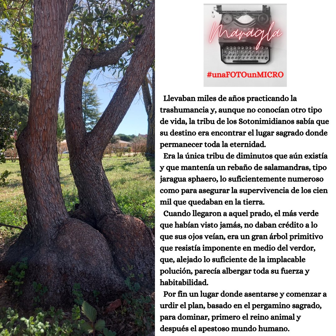 maragla13's tweet image. #unafotounmicro
#microrrelatosfantásticos
#diminutos