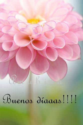 #EnDefensaDelEsequibo
Buenos días mis twitteros
@11Zulia 
@zuldayomar 
@ximenaduque 
@ElcideFlaca1953 
@XimeGuate 
@3raCiD332 
@_Karenpnt 
@Alfredo18135521 
@Briggittems1 
@eduardojlopezs2 
@JavierT89044355 
@karolg 
@YulminBeatriz01 
@erikarosaura 
@enderj_hdz 
@lopez_yoselina