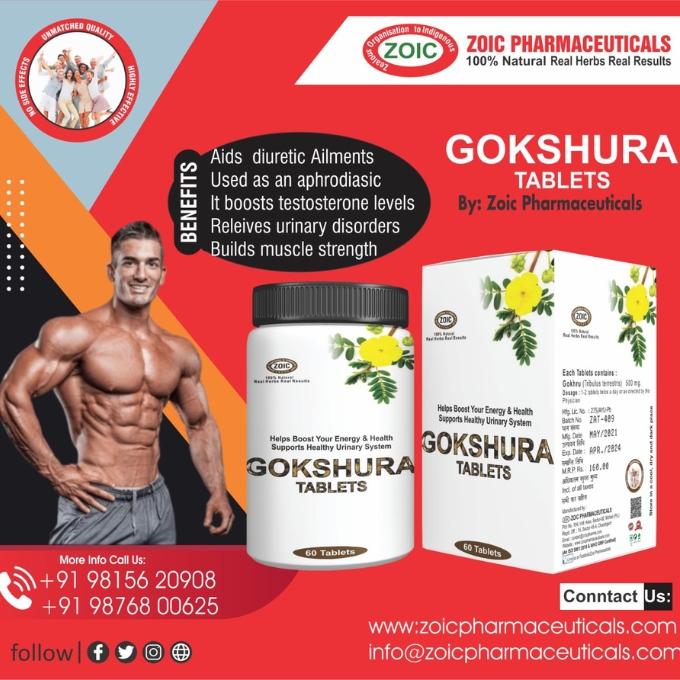 zoicpharma's tweet image. Gokshura Tablets by Zoic Pharmaceuticals
.
.
.
#gokshura #boosttestosterone #boosttestosteronenaturally #muscle #musclestrength #urinarydisorders #urinarytractinfection #herbal #herbalrange #ayurvedicproducts #ayurvedic #herbalremedies #pcdpharma  #pharmafranchise  #zoicpharma