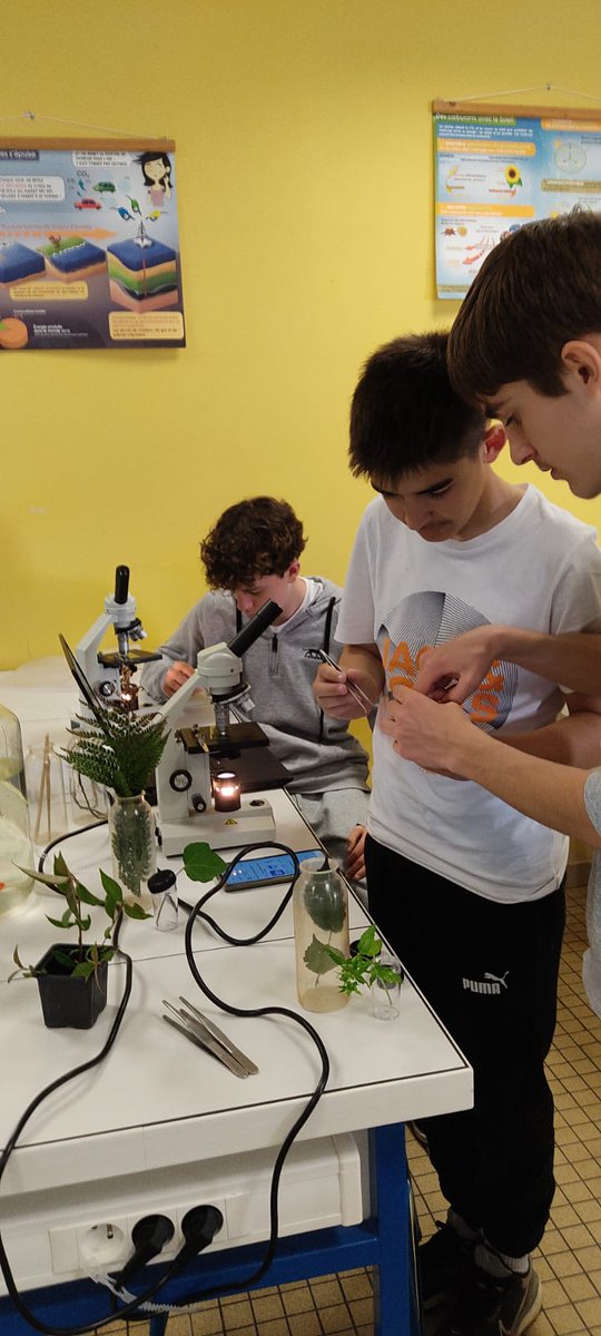 JeanRostandGers's tweet photo. Les élèves de 4eme du @JeanRostandGers préparent l'accueil des CM2 avec des ateliers sur la. #biodiversité !
@dsden_32 @actoulouse @eddtoulouse #murvégétal #atelierspedagogiques #liaisoncycle3 @farid_djemmal @Ecole_College https://t.co/mOsEgA2Fj8