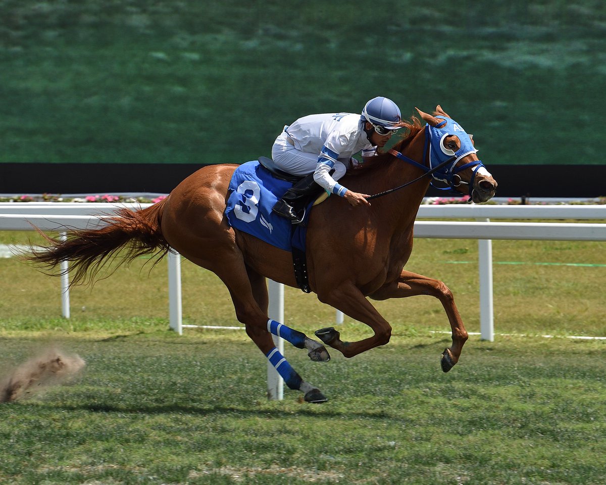 sanoracing's tweet photo. #7Apr Light and Path
Jockey: Edgard Zayas @zayas_edgardo
Trainer: Antonio Sano
Owners: Leuf Racing Stable LLC / Twin Racing Stable
Maiden Claiming $25,000 • Turf
1️⃣ first victory for Antonio Sano #RoyalPalmMeet Thursday, April 06, 2023 #GulfstreamPark
📸 @coglianesephoto https://t.co/zdhvssYmNG