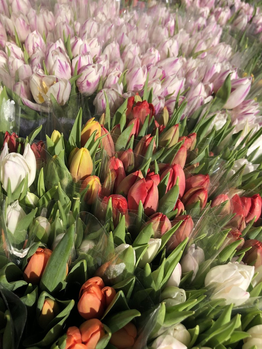 PI_Alphen tweet media