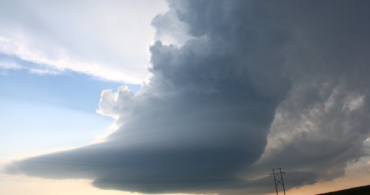 Ontario derecho, tornado recovery funding not enough, municipalities say https://t.co/boWV8K25LA https://t.co/NR2Hf49RSZ