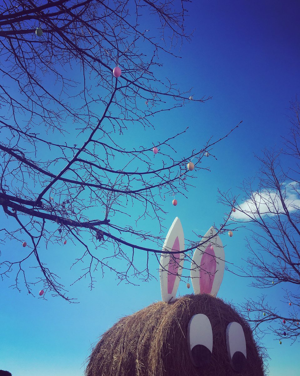 IstriaLife's tweet photo. Looks like the #easterbunny has arrived in #Oprtalj 
🐇🥚🐇🥚

#happyeaster #sretanuskrs #istria #springtime #holidayweekend #chocolatetreats https://t.co/PkMhcOnMsw