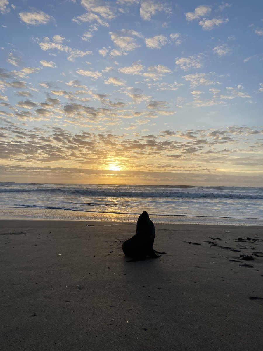 marescandon's tweet photo. mar del, un feriadito, 7am 💙 https://t.co/3sX9833g3M