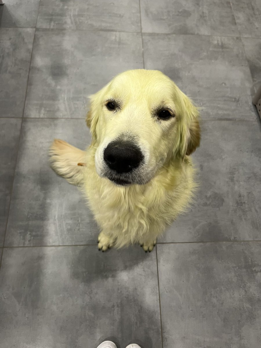 leadew2's tweet image. Mon grinch de compagnie