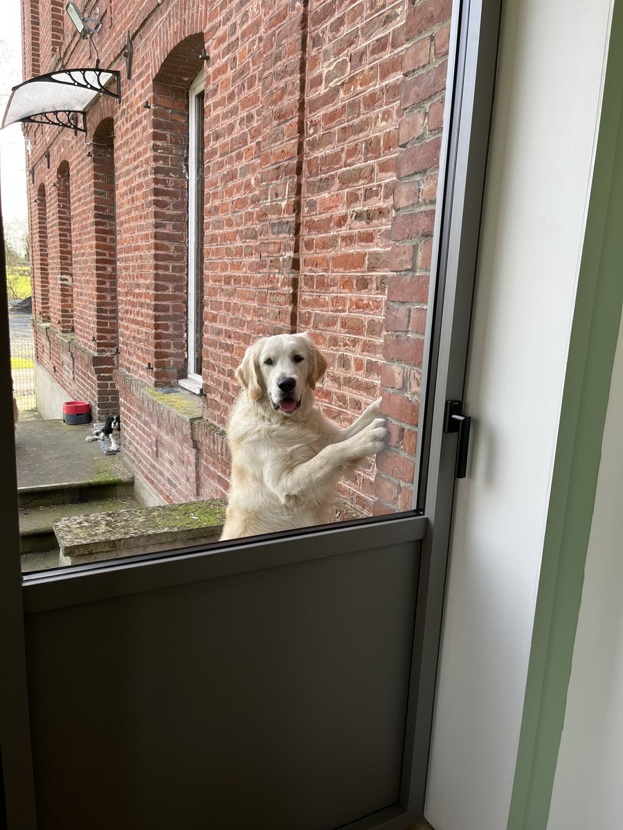 leadew2's tweet image. Mon grinch de compagnie