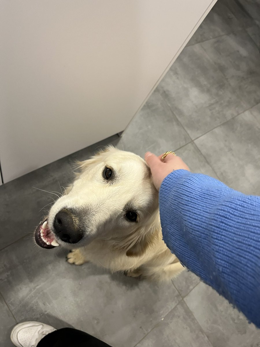 leadew2's tweet image. Mon grinch de compagnie