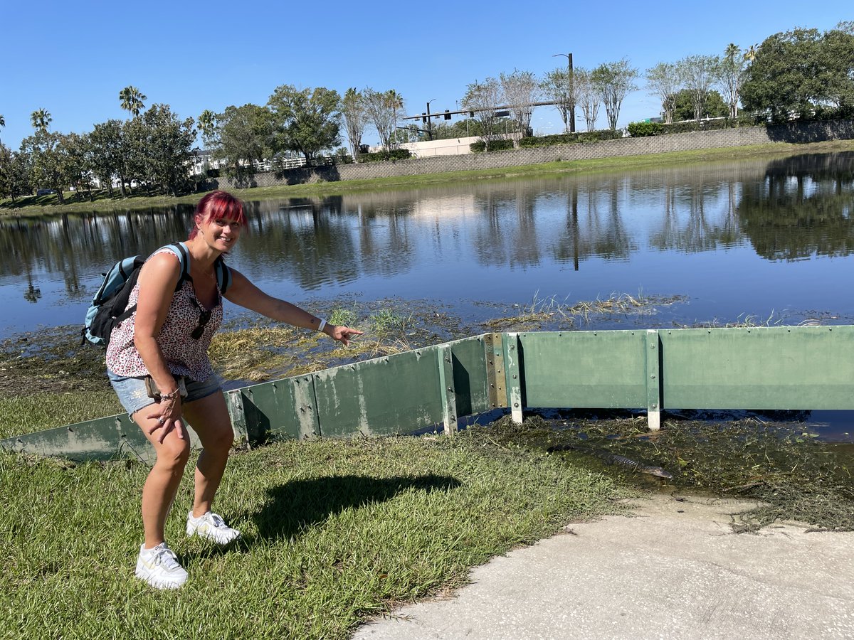 teamsnipensnap's tweet image. Wat is het meest onverwachte of verbazingwekkende dat je hebt ontdekt tijdens het geocachen? Deel je verhalen en foto&apos;s in de reacties!

B.v. hier een foto toen Jeanet tijdens het cachen wel heel dichtbij een alligator kwam!