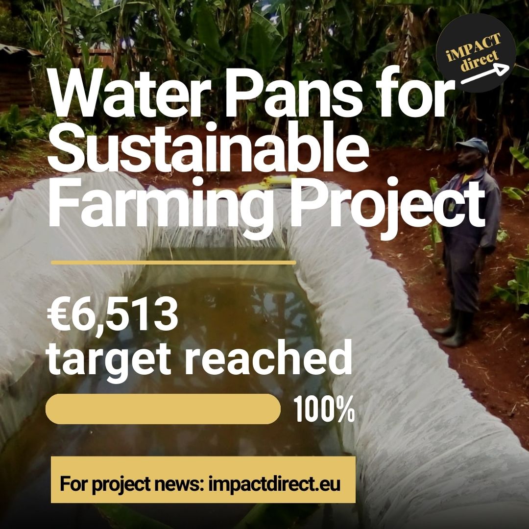 iMPACT direct tweet media