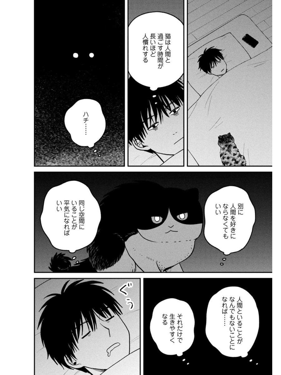 保護された野良猫たちのその後(3/3) 