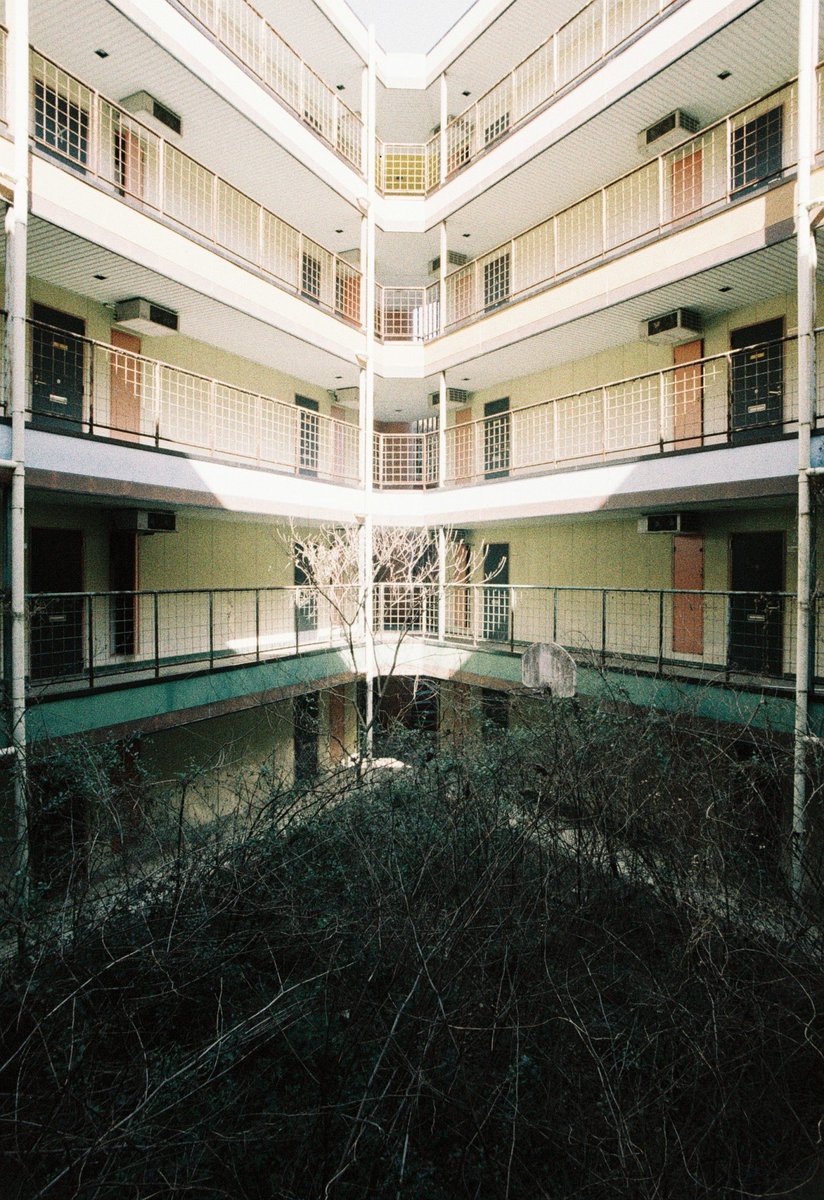 三角マンション

#記憶の中の彩度
#廃墟
#フィルム
#ORWO
#ORWOFilm
#WOLFENNC500
#カメスズ