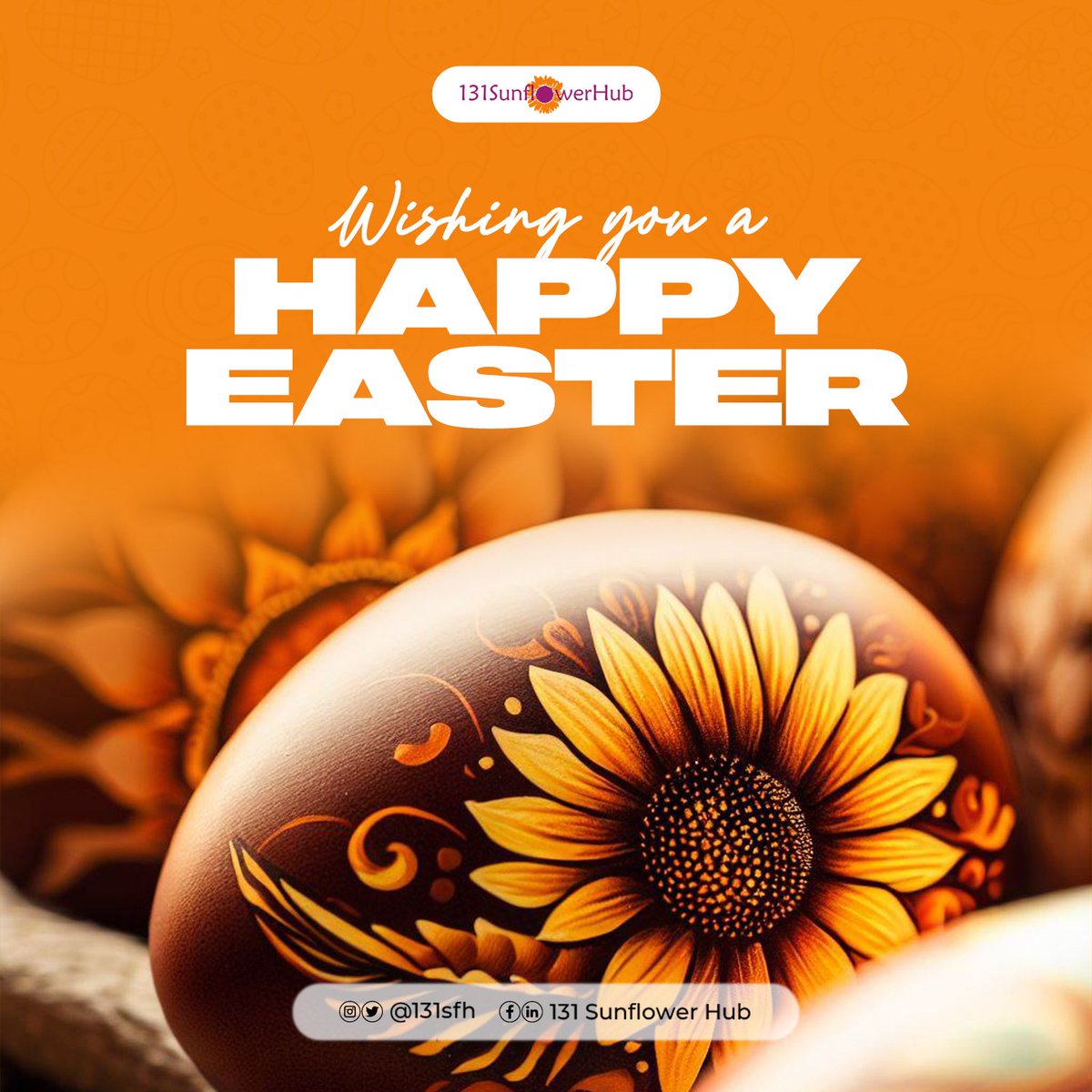 131 Sunflower Hub tweet media